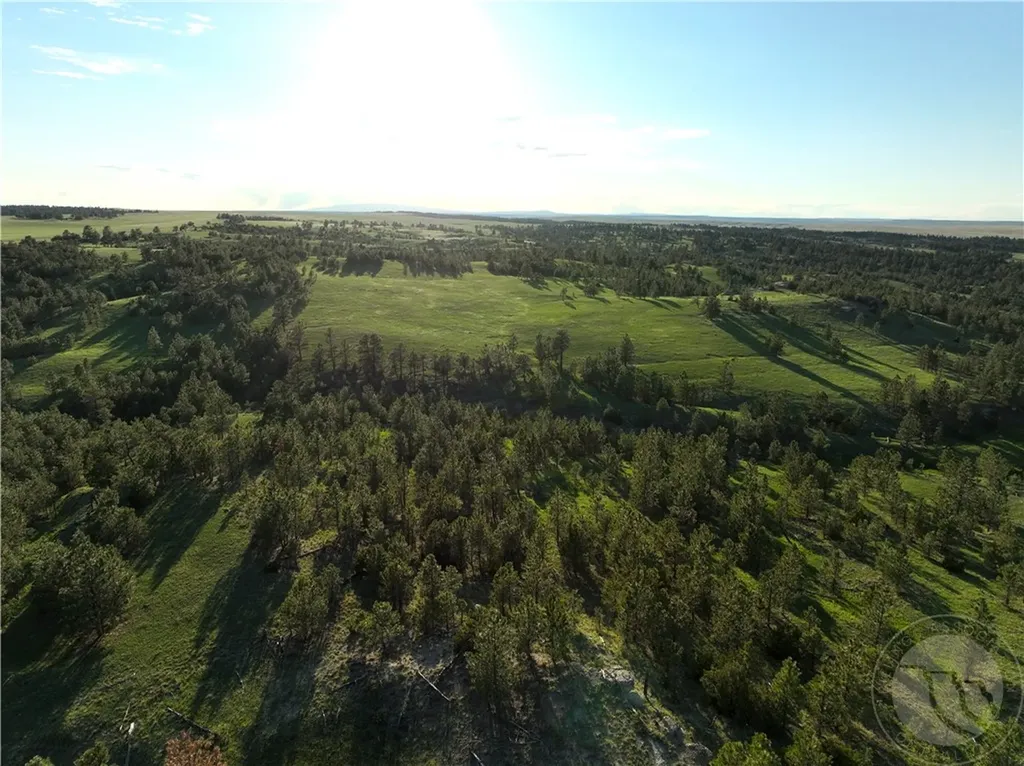 600 N Delphia Road Roundup MT 59072