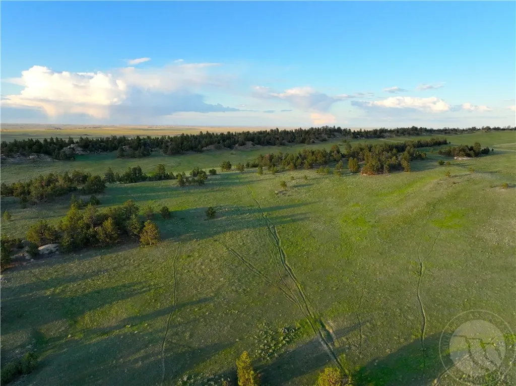 600 N Delphia Road Roundup MT 59072