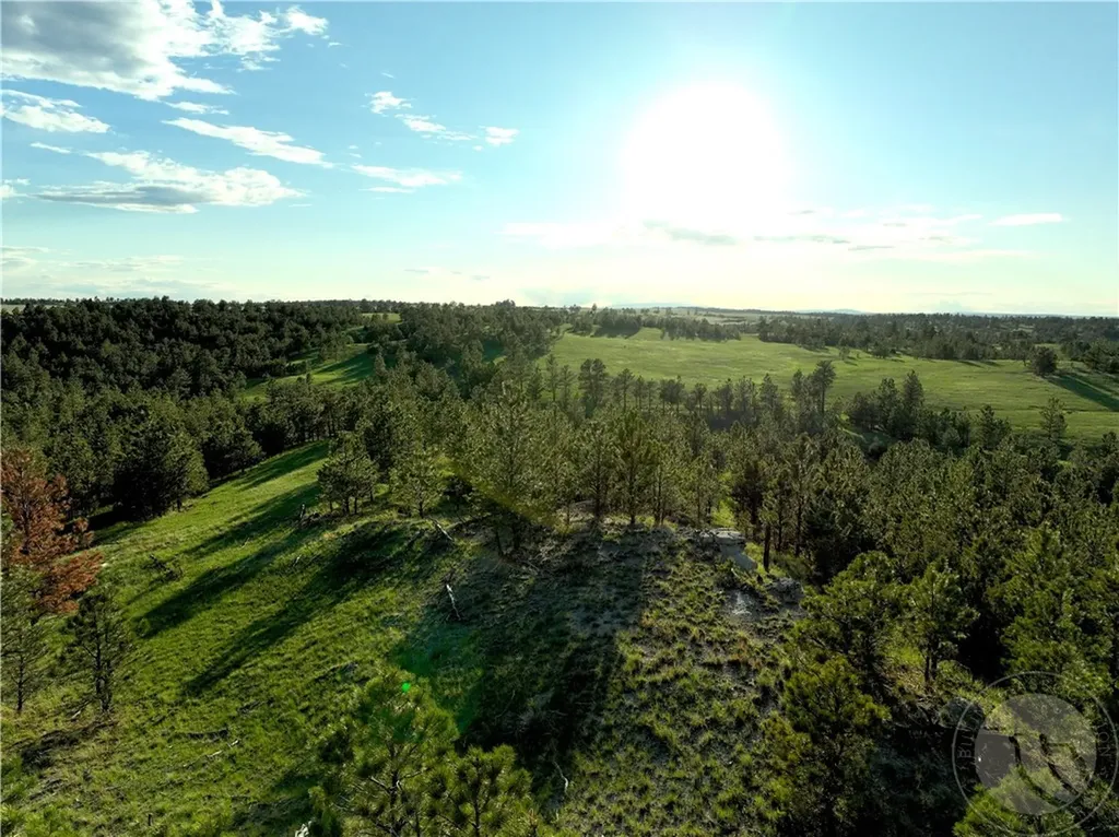 600 N Delphia Road Roundup MT 59072