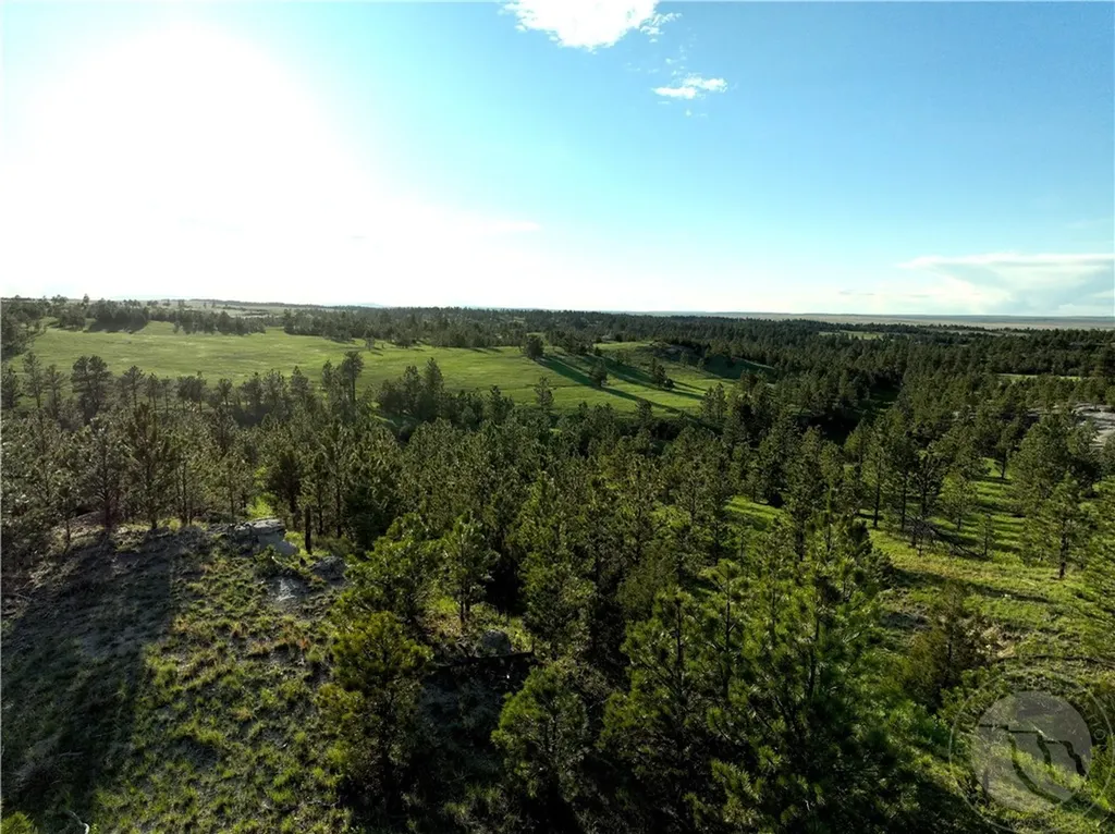 600 N Delphia Road Roundup MT 59072