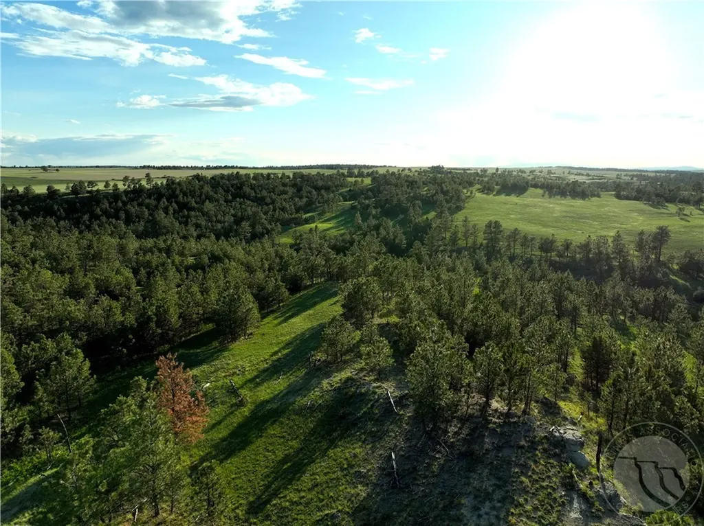 600 N Delphia Road Roundup MT 59072