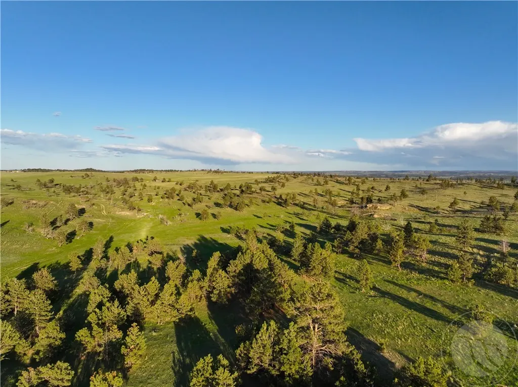 600 N Delphia Road Roundup MT 59072
