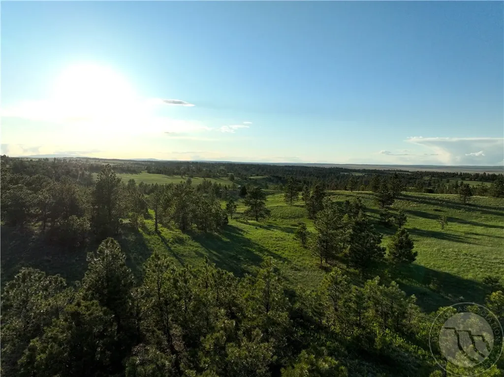 600 N Delphia Road Roundup MT 59072