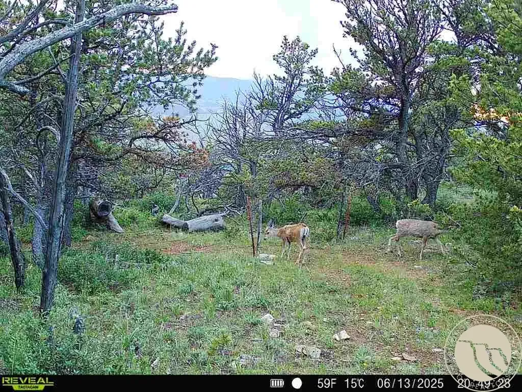 0 Rogers Lane Lewistown MT 59452