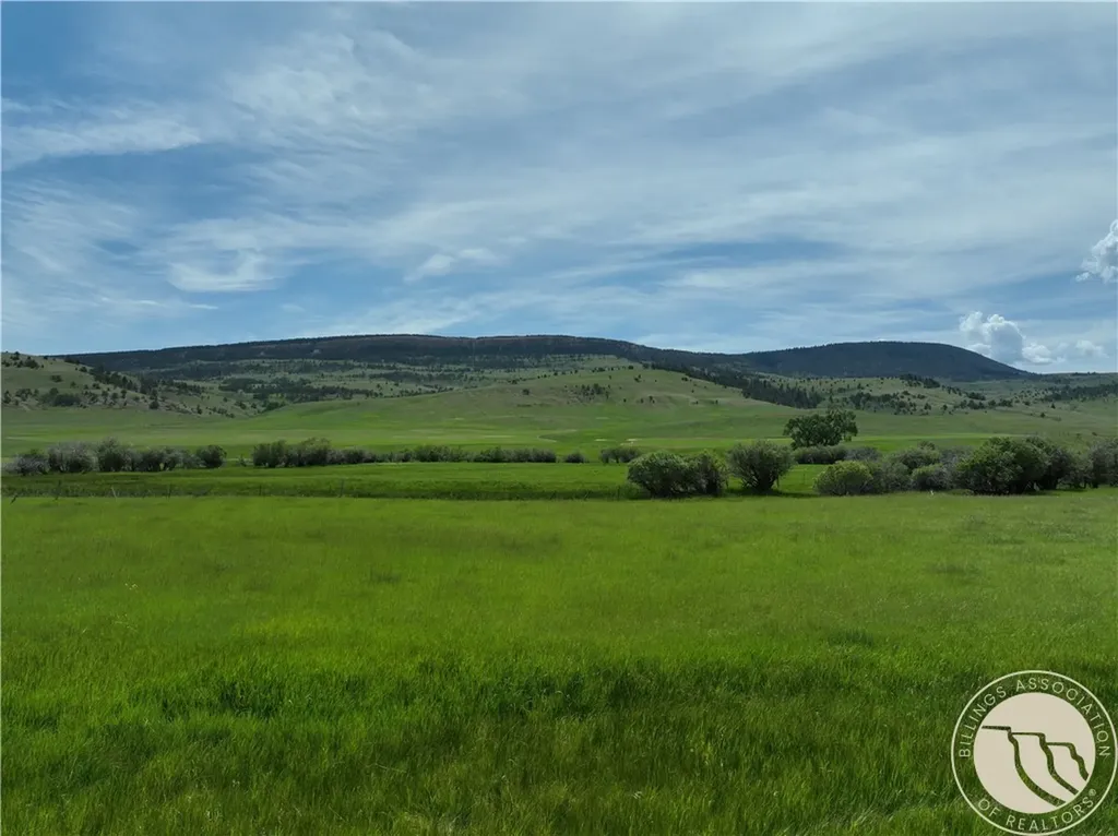 0 Rogers Lane Lewistown MT 59452