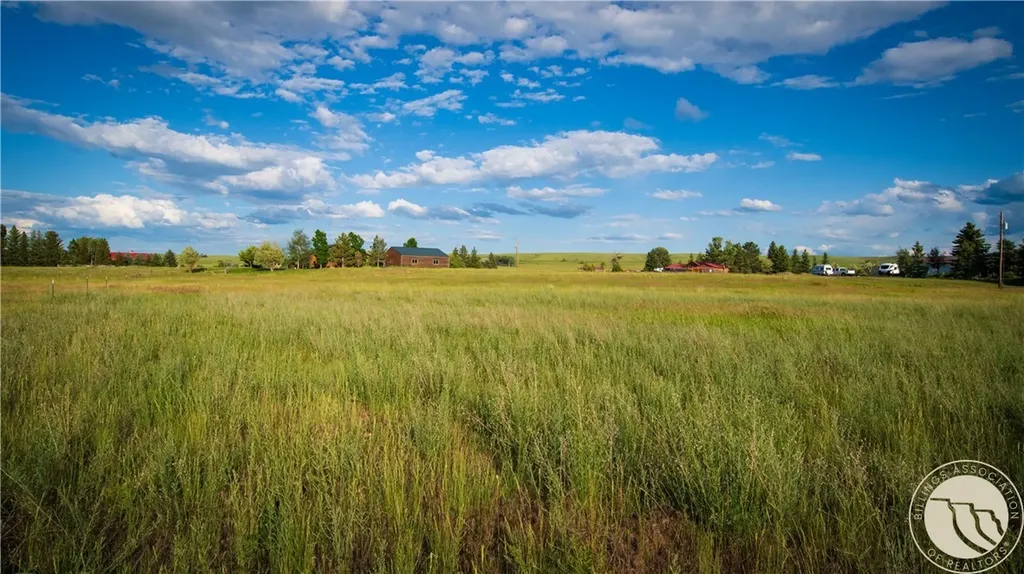 65 Indian Rings Big Timber MT 59011