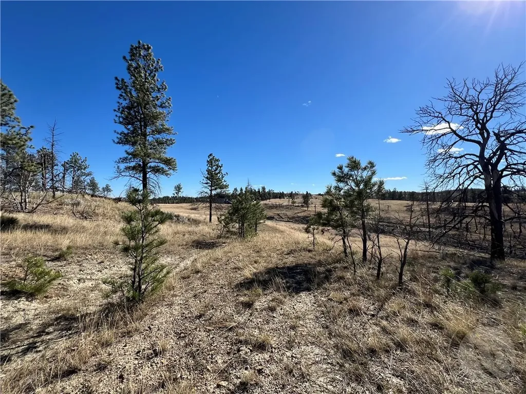 00 East Smith Lane Other MT 59058