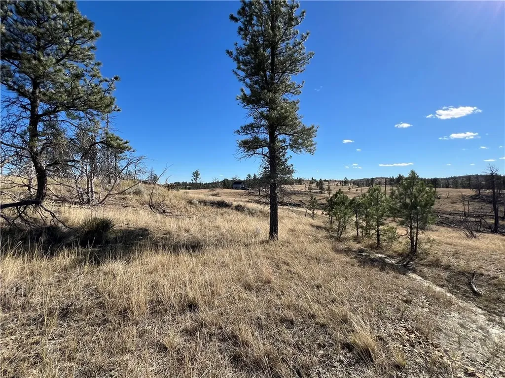 00 East Smith Lane Other MT 59058