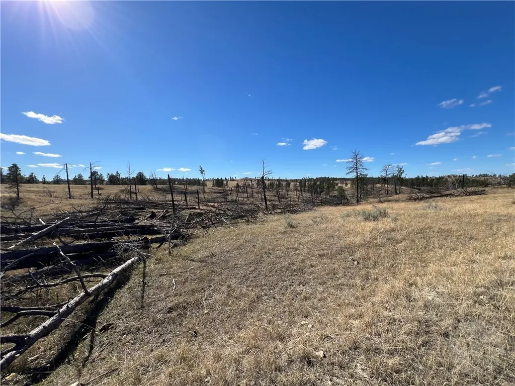 00 East Smith Lane Other MT 59058