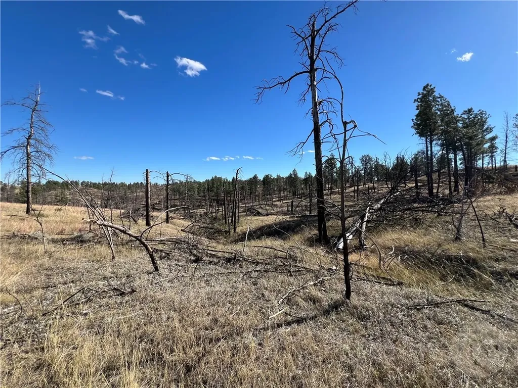 00 East Smith Lane Other MT 59058