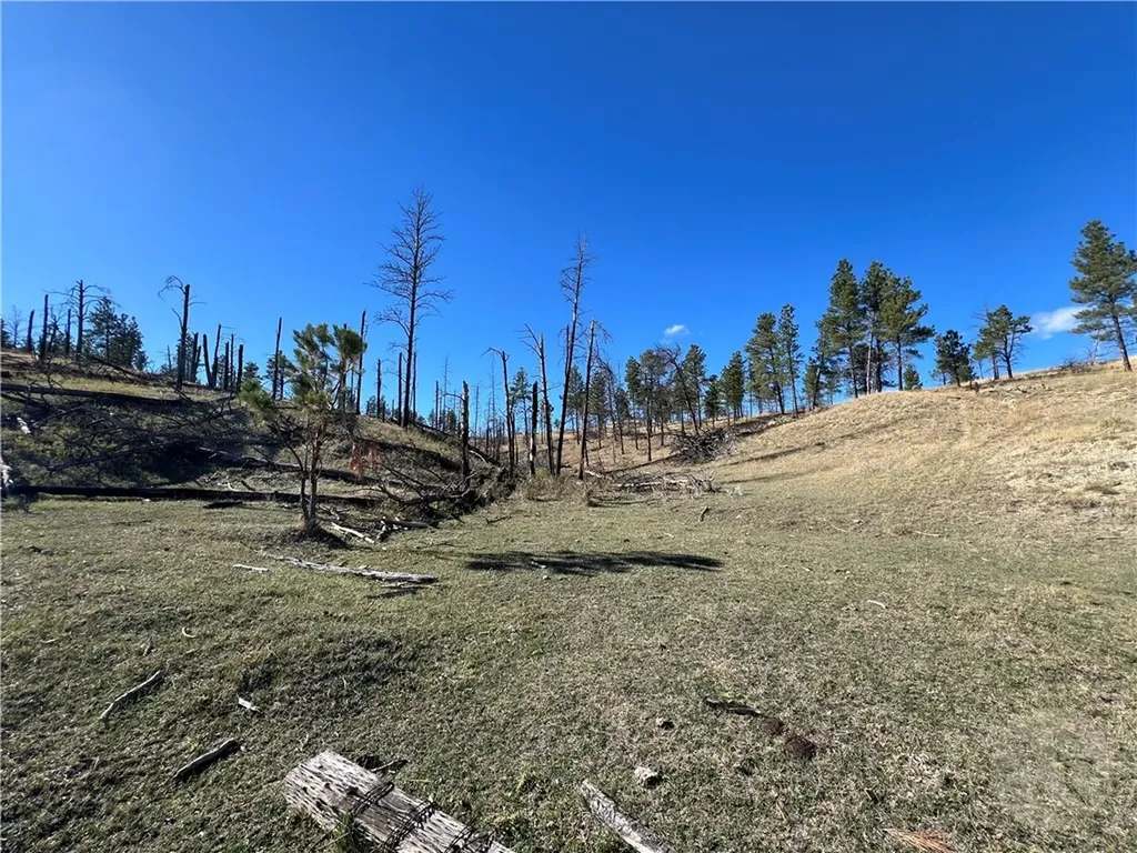 00 East Smith Lane Other MT 59058