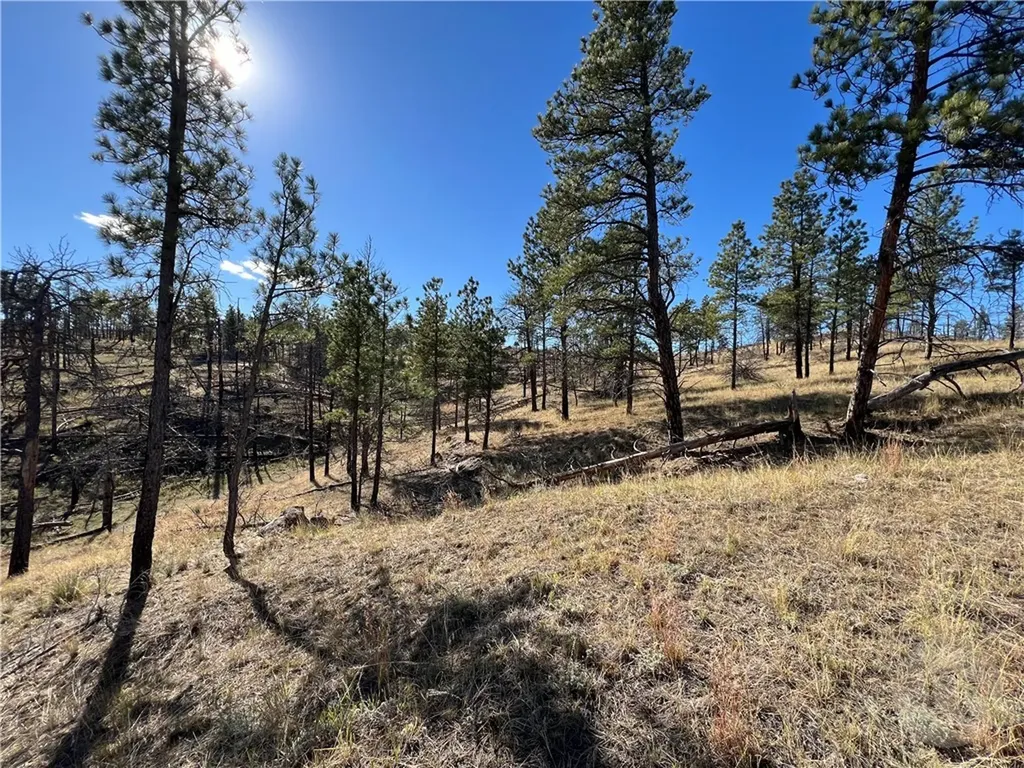 00 East Smith Lane Other MT 59058