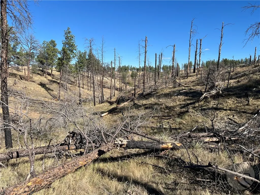 00 East Smith Lane Other MT 59058