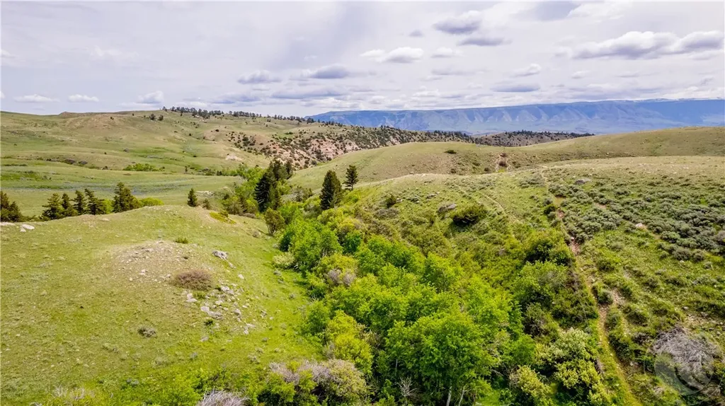 Nhn Bighorn Canyon Road Other MT 59014