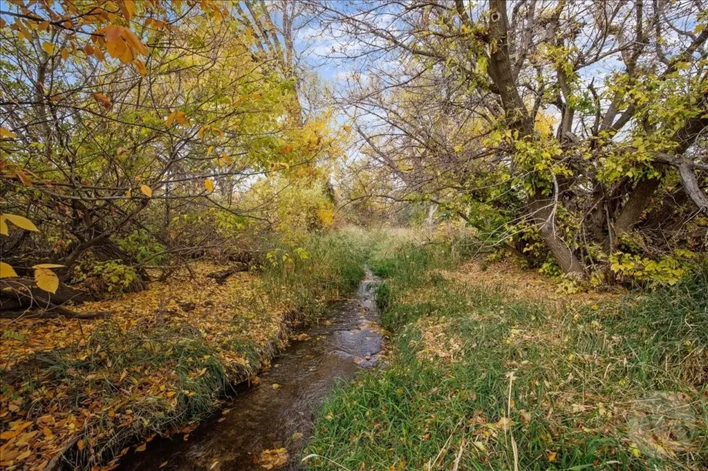 Tbd River Road Laurel MT 59044