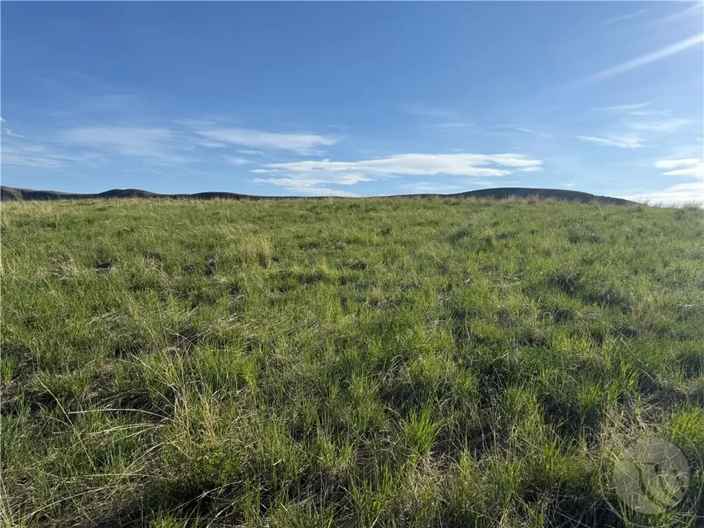 44 Five Mile Creek Road Edgar MT 59026