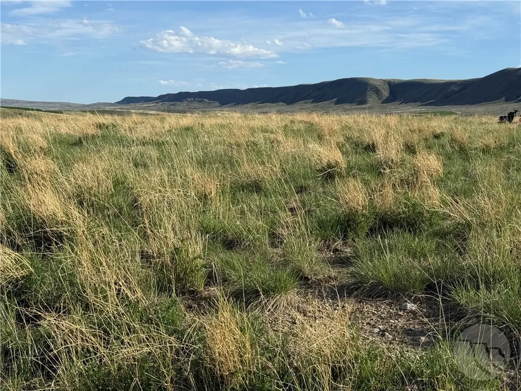 44 Five Mile Creek Road Edgar MT 59026