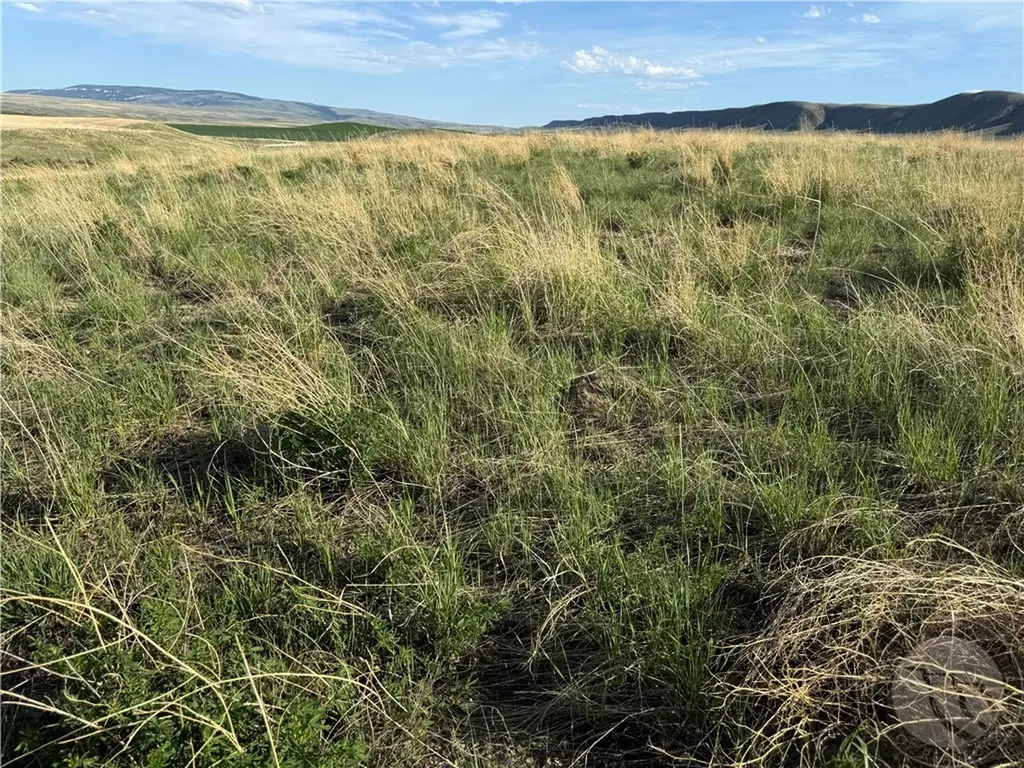 44 Five Mile Creek Road Edgar MT 59026