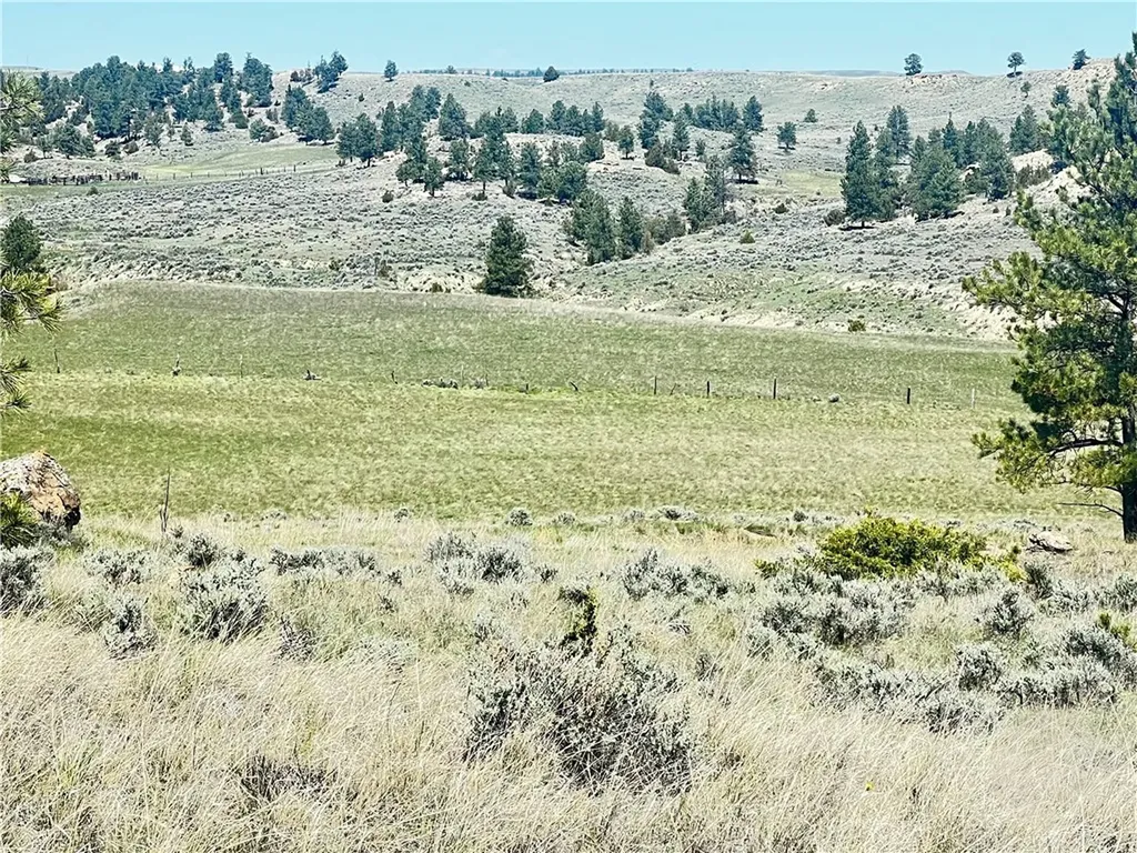 Lot 16 W Sunshine Road Roundup MT 59072