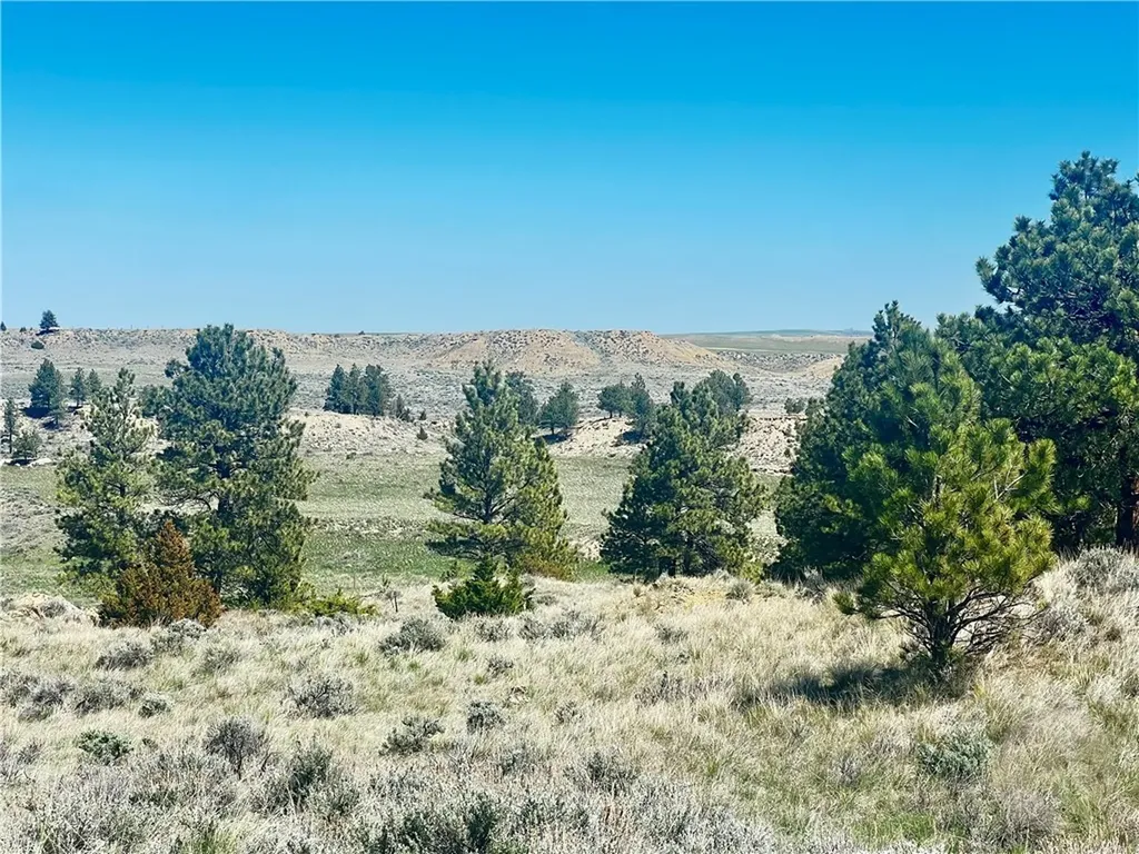 Lot 16 W Sunshine Road Roundup MT 59072