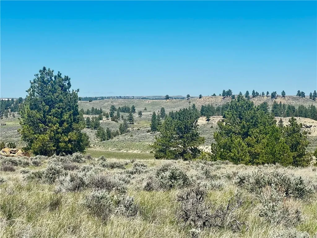 Lot 16 W Sunshine Road Roundup MT 59072