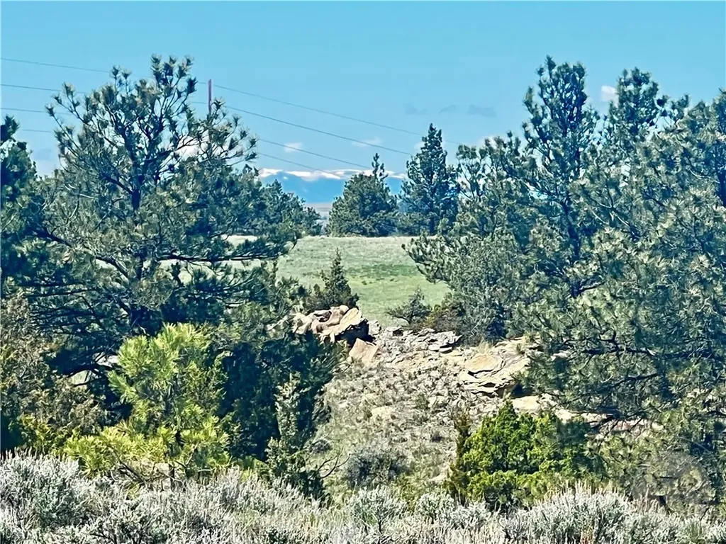 Lot 16 W Sunshine Road Roundup MT 59072