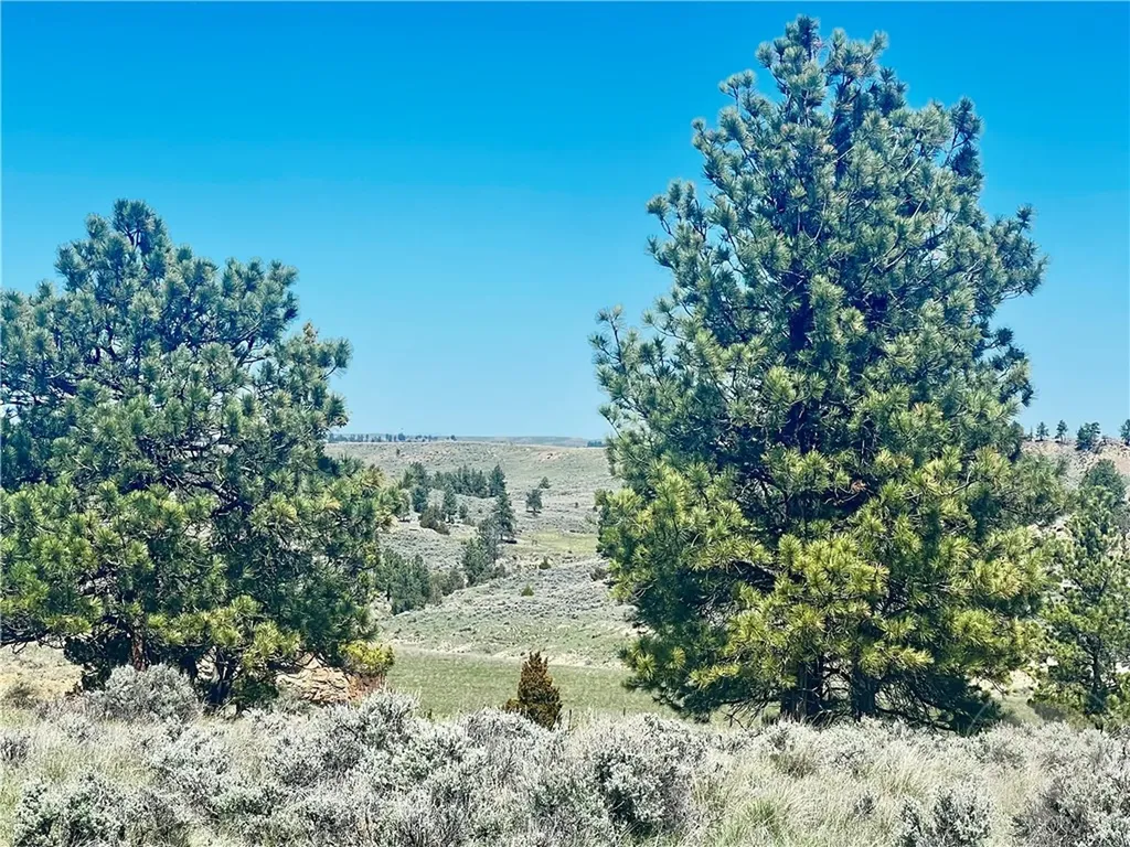 Lot 16 W Sunshine Road Roundup MT 59072