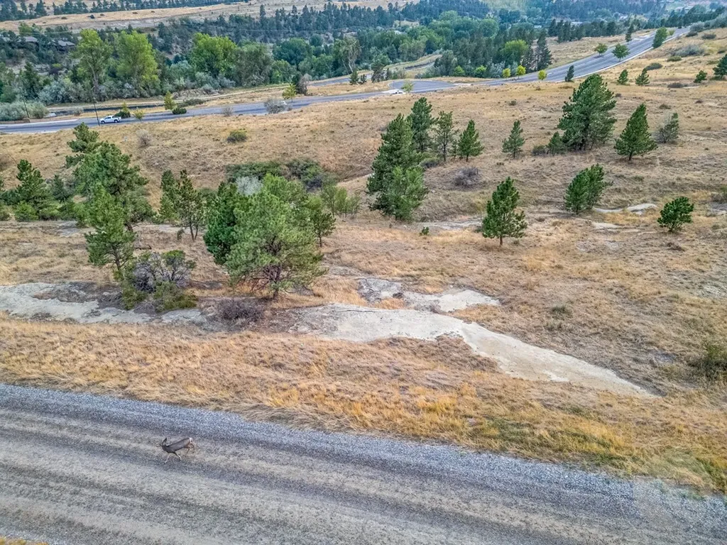 Nkn Antelope Billings MT 59105