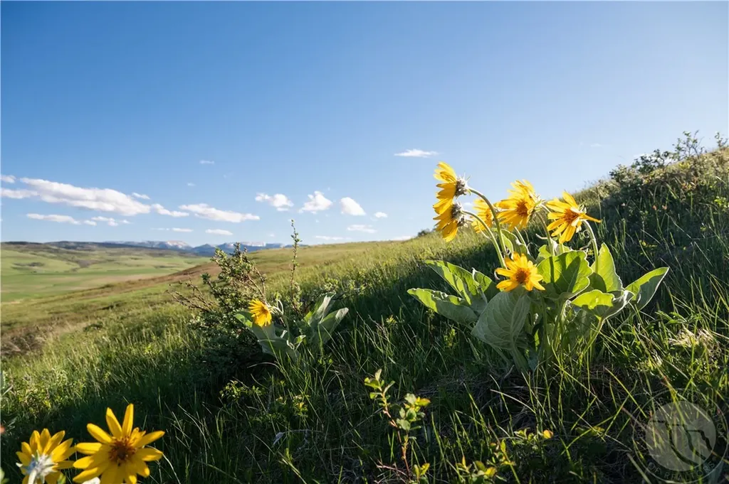 2887 Piper Cutoff S Lewistown MT 59457