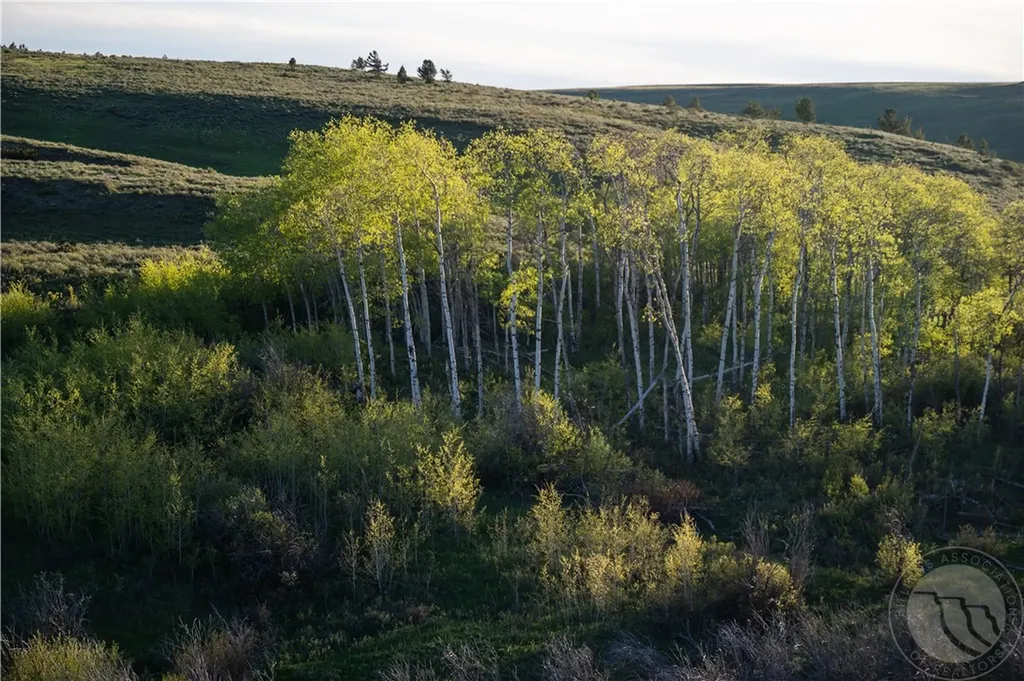 2887 Piper Cutoff S Lewistown MT 59457
