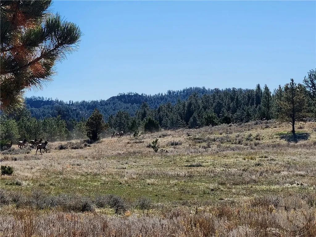 Tbd Tbd Big Timber MT 59011