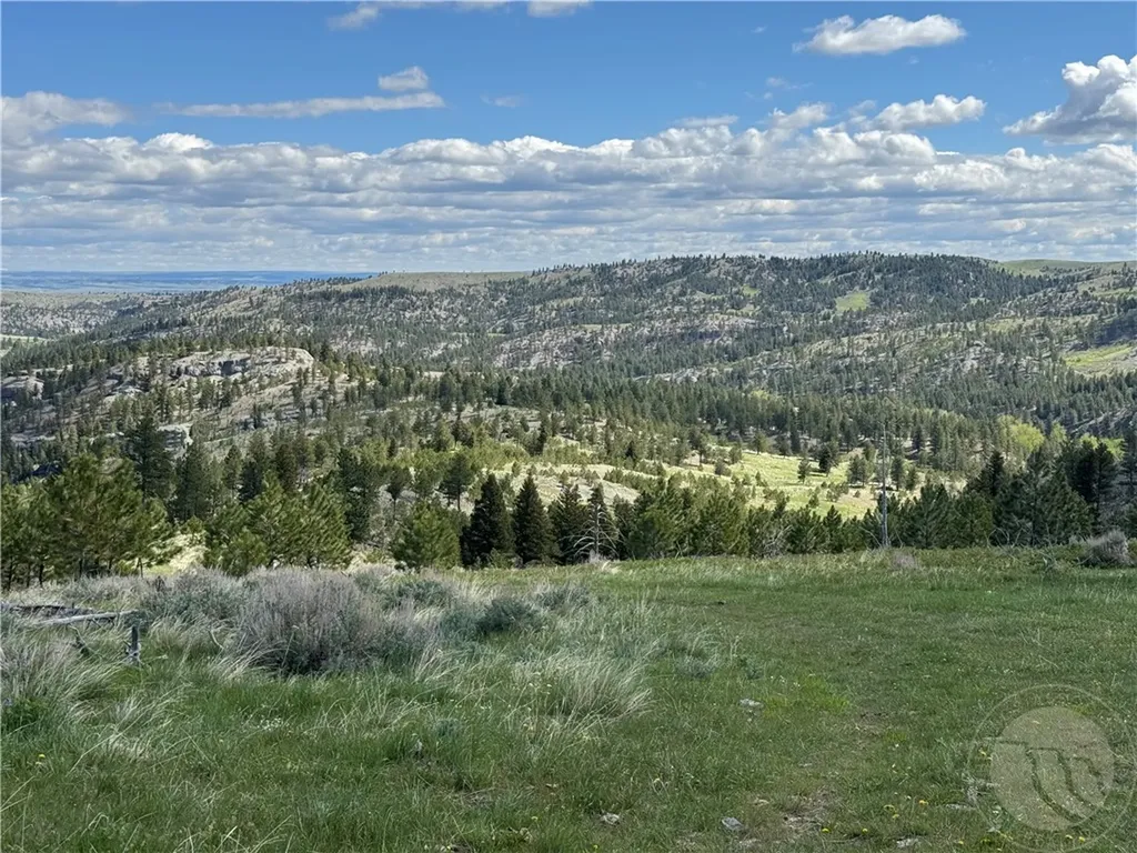 Tbd Tbd Big Timber MT 59011