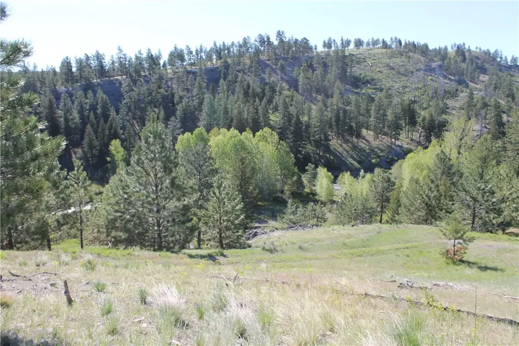 Tbd Tbd Big Timber MT 59011