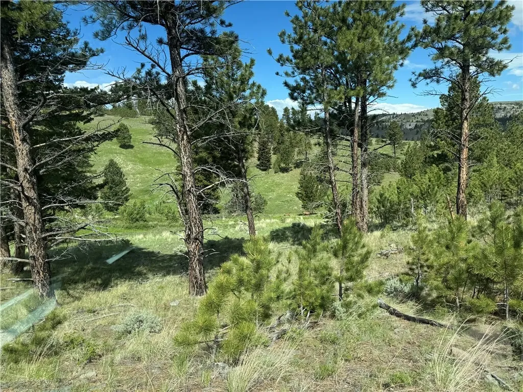 Tbd Tbd Big Timber MT 59011