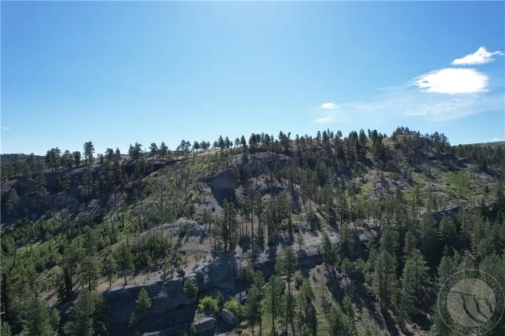 Tbd Tbd Big Timber MT 59011