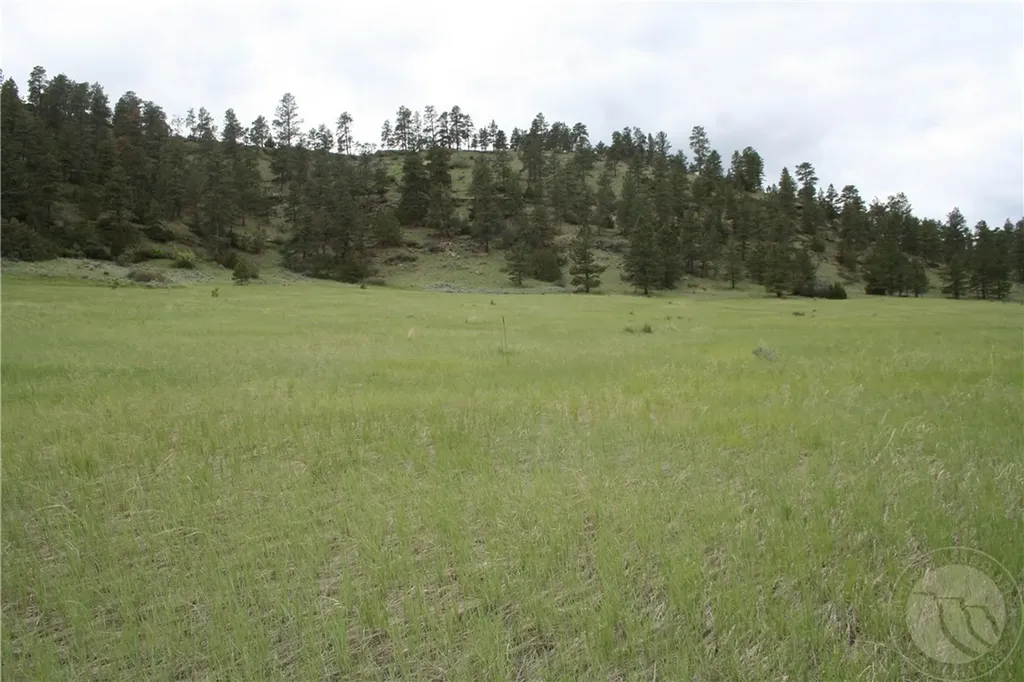 5077 Chief Blacktail Trail Laurel MT 59044