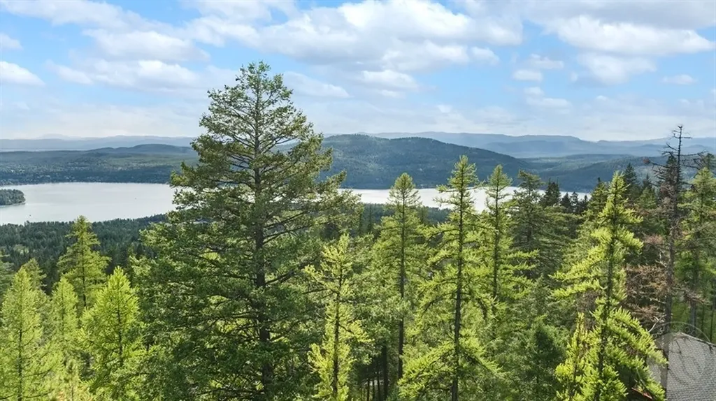 238 S Beargrass Circle, Whitefish Other MT 59937