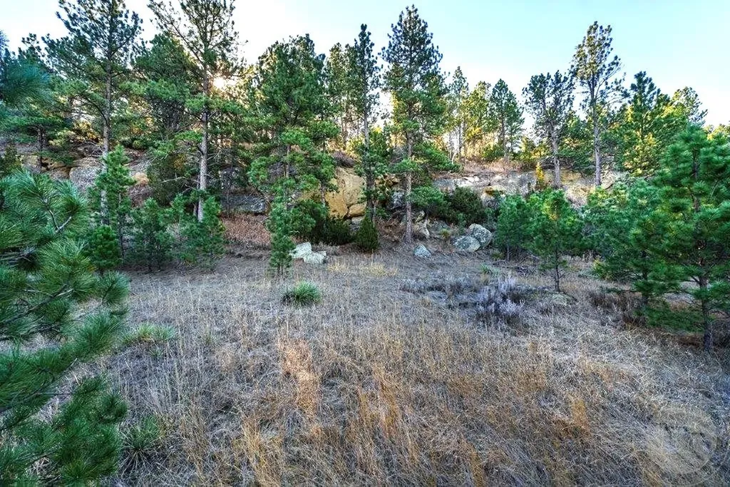 1010 Moon Valley Road Billings MT 59105