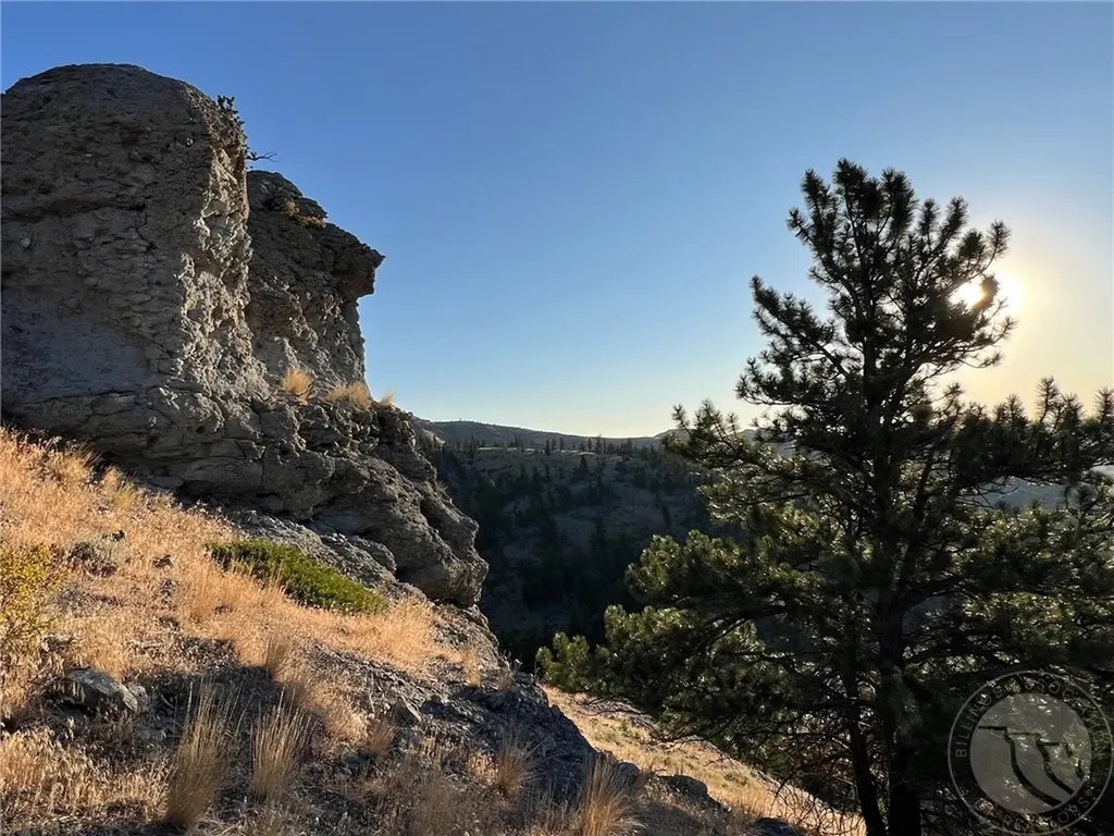 Nsn Stanley Coulee Way Nye MT 59061