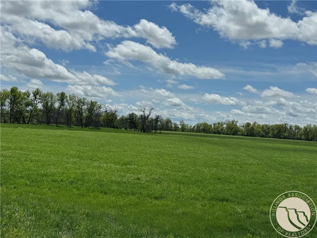 0 Little Missouri Road Other MT 59311