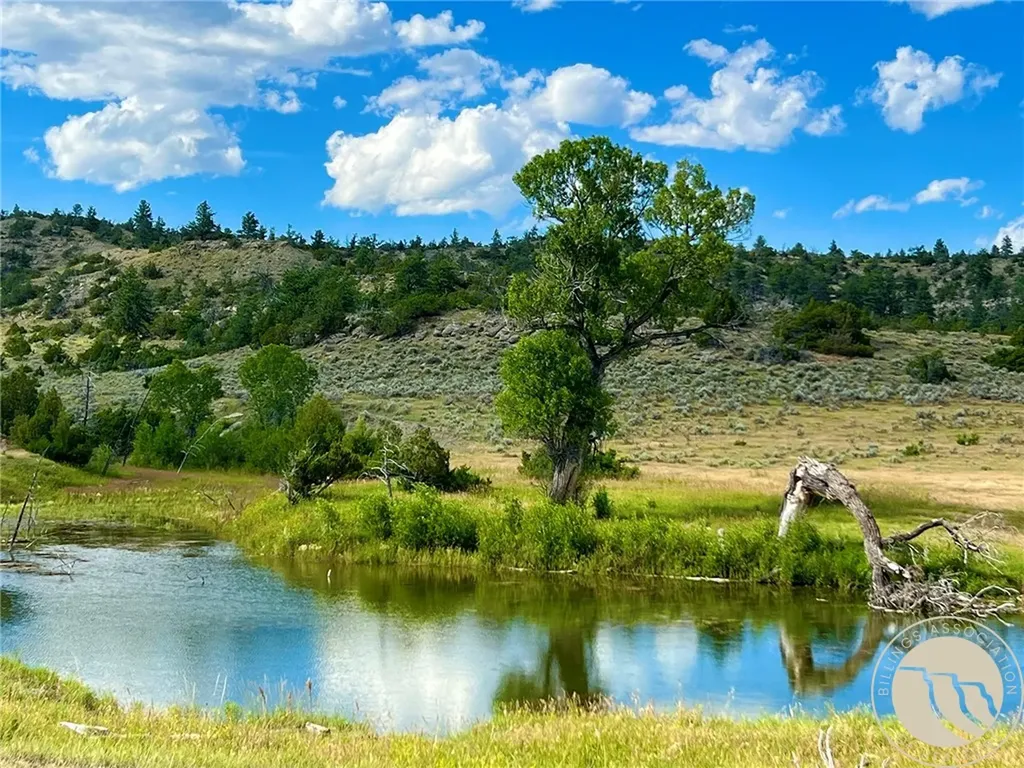 876 Lower Sweet Grass Big Timber MT 59011