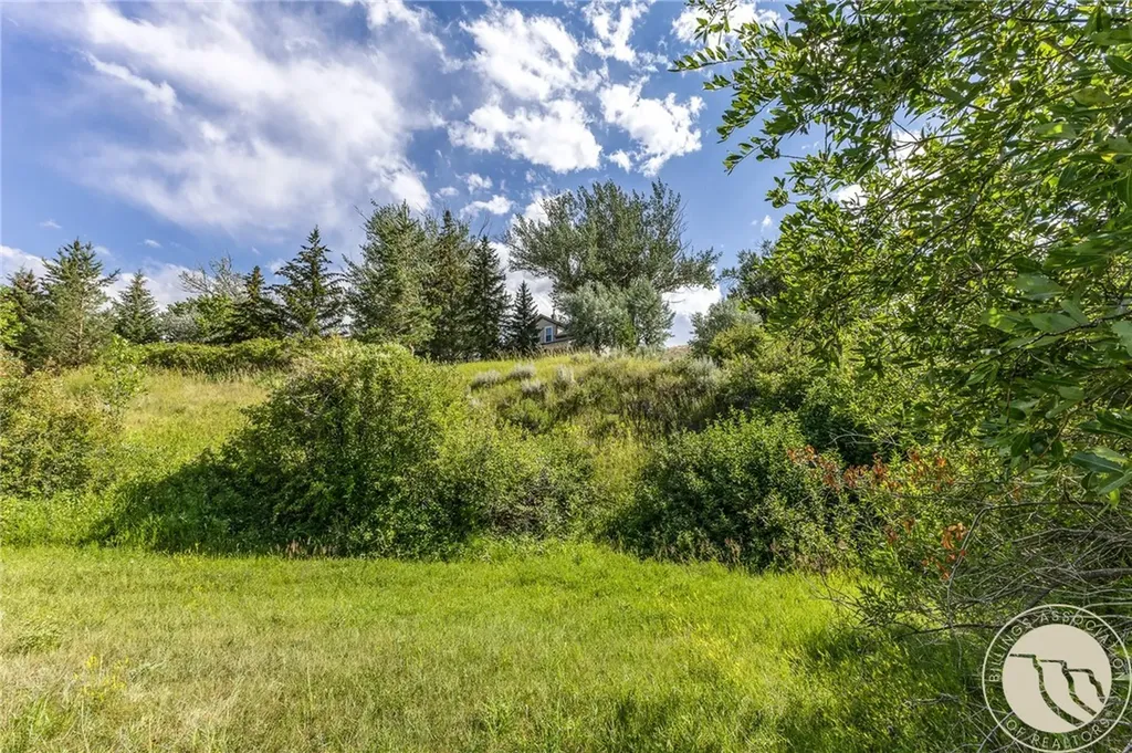 6 Washoe Circle Bearcreek MT 59007