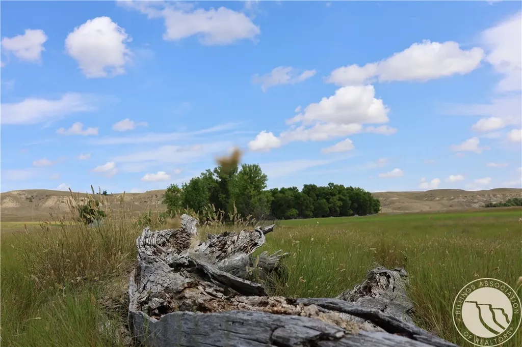 Tbd Highway 201 Circle MT 59274