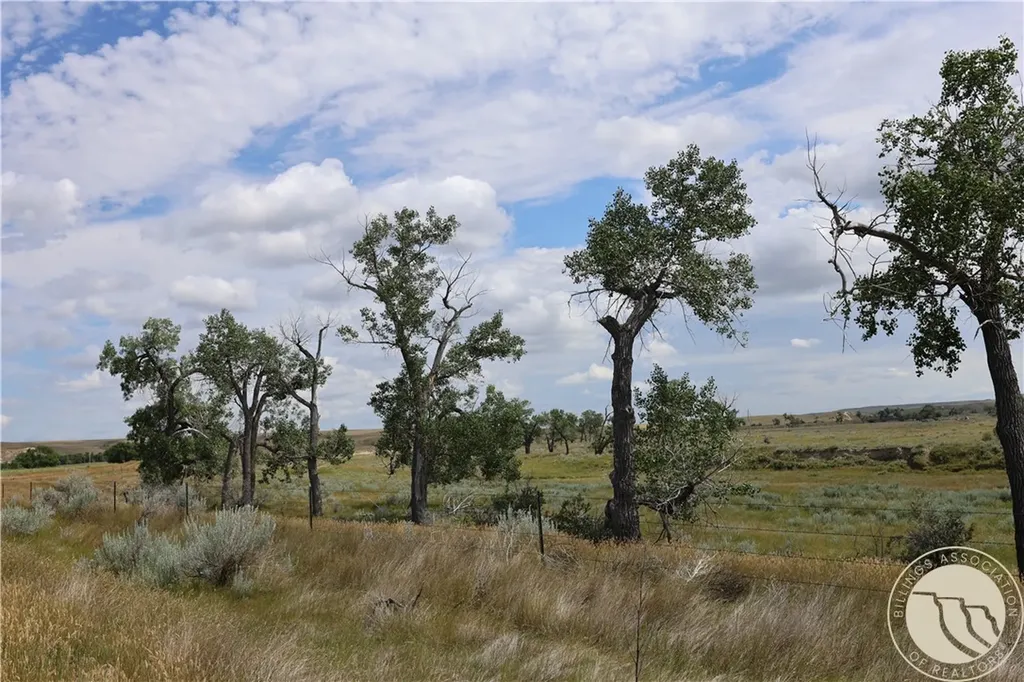Tbd Highway 201 Circle MT 59274