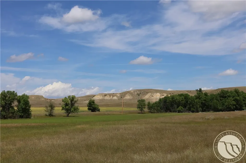 Tbd Highway 201 Circle MT 59274