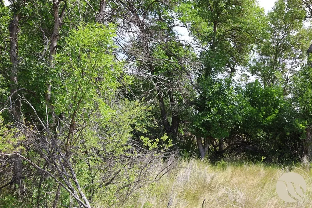 Tbd Highway 201 Circle MT 59274