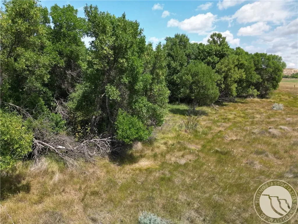 Tbd Highway 201 Circle MT 59274