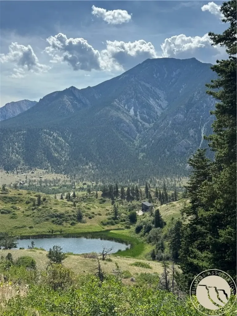 54 Eagle Ridge Nye MT 59061
