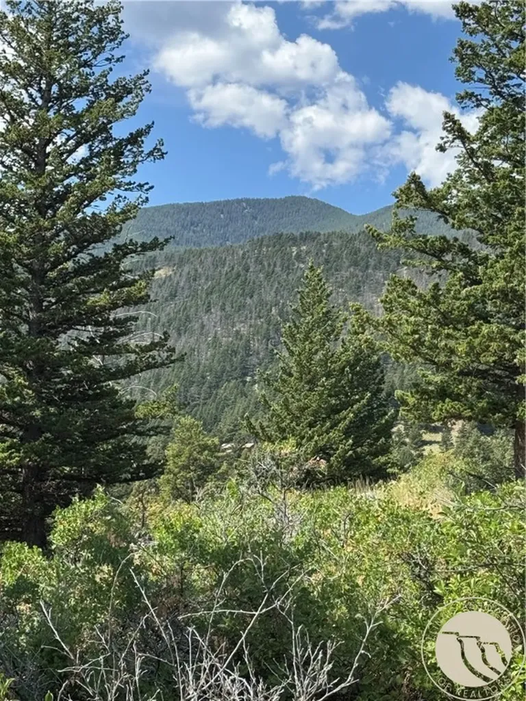 54 Eagle Ridge Nye MT 59061