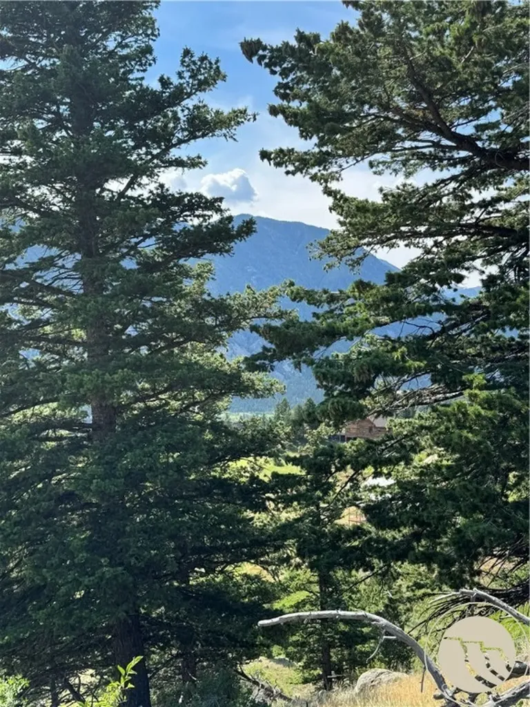 54 Eagle Ridge Nye MT 59061